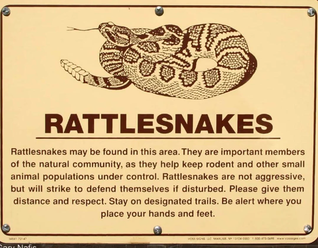 What Wrong Did the Snake Commit?