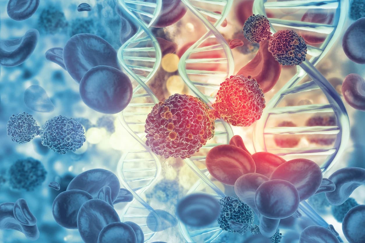 How cells survive chemo: Israeli researchers find ‘guardian proteins’ protect tumors