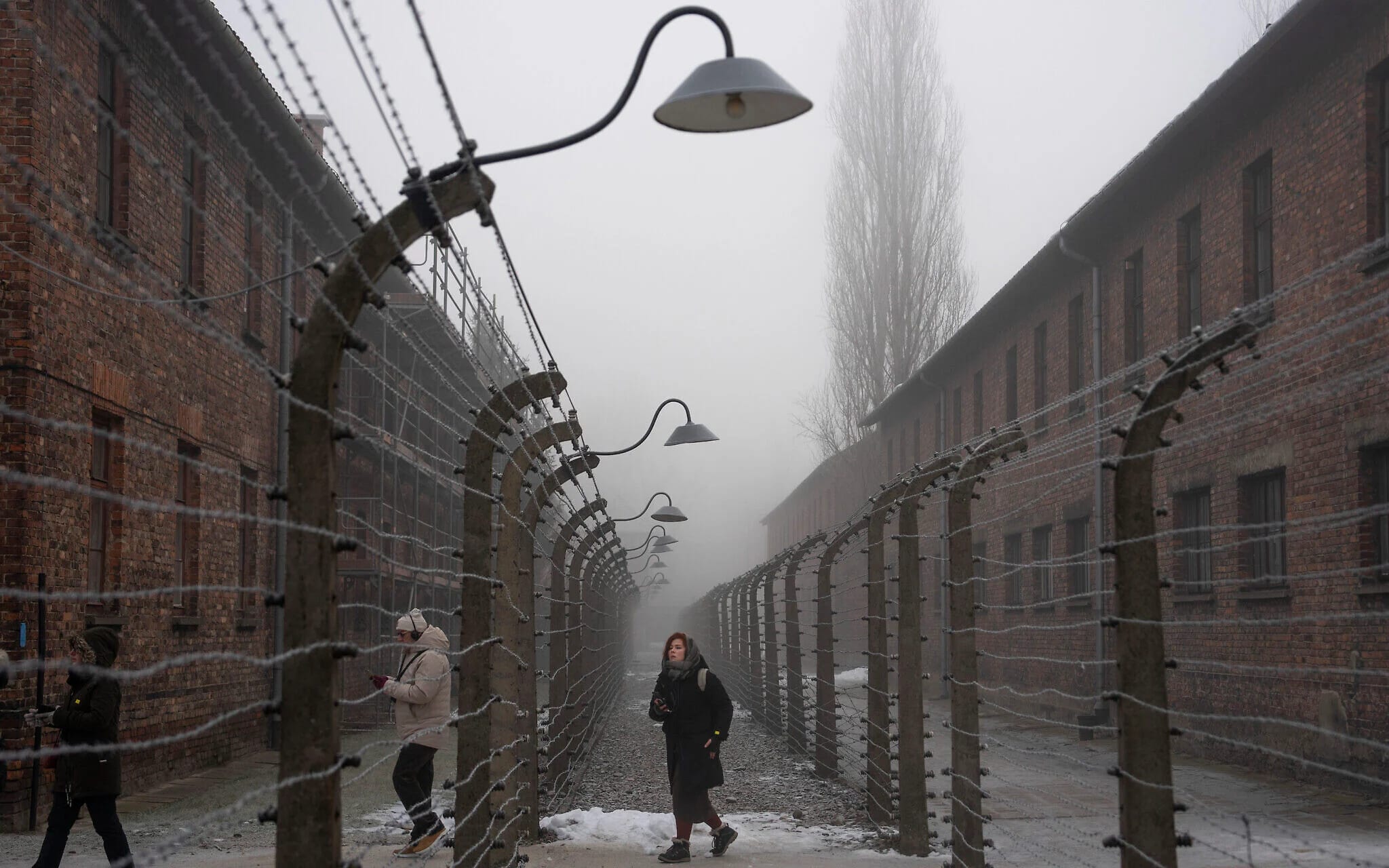 British tourist’s TikTok critique of Auschwitz Museum’s café goes viral