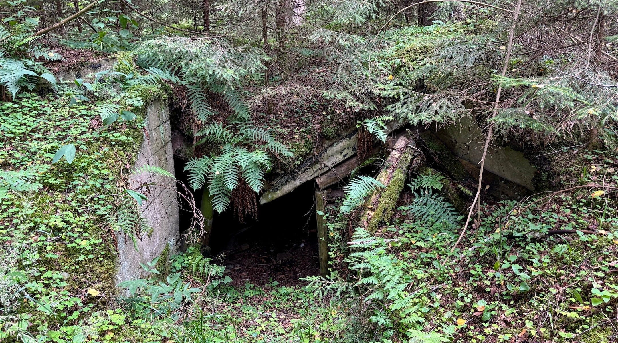 New German military base raises fears for Lithuania’s crumbling Jewish partisan memorial
