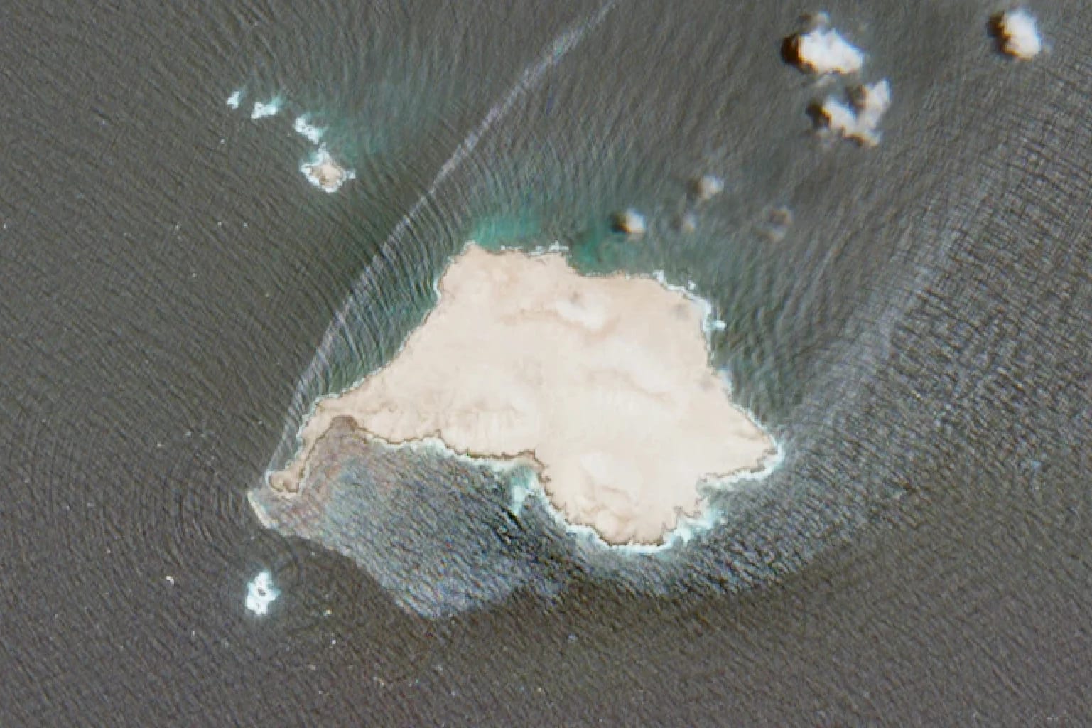 Israeli scientists develop huge sponge to mop up and ‘eat’ oil spills
