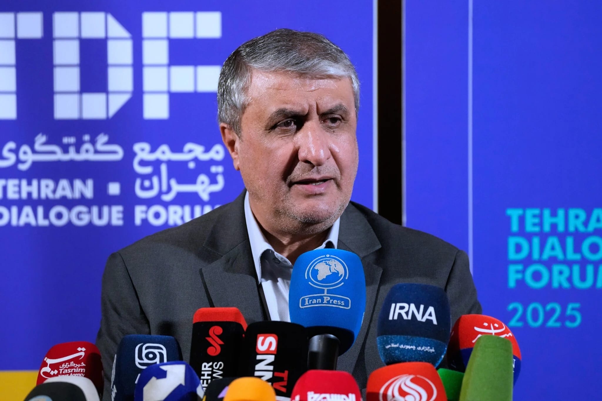 US pressures Austria to withdraw visa for Iran nuclear chief attending IAEA meeting