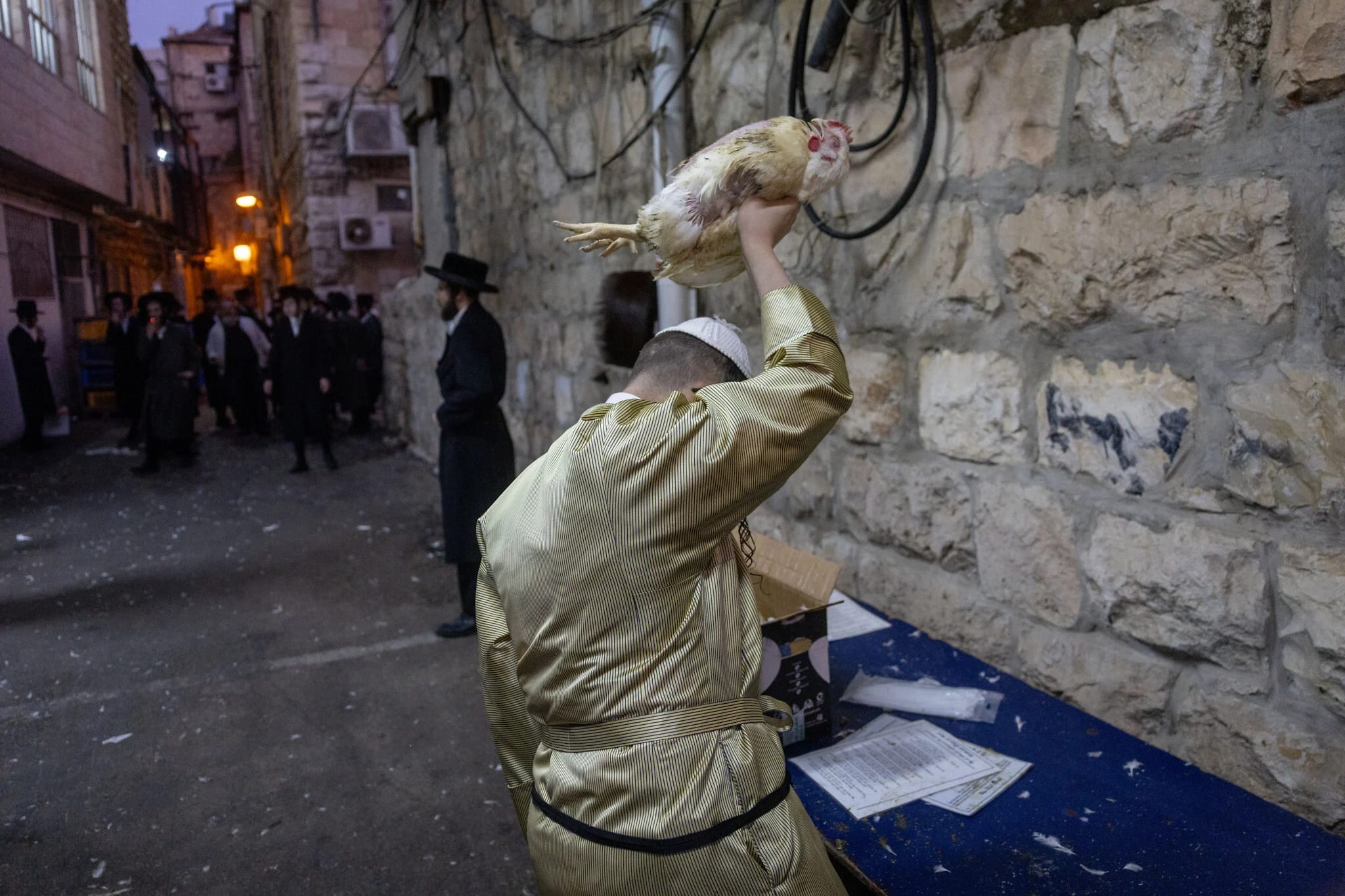 13 municipalities to bar use of live chickens in pre-Yom Kippur ‘kapparot’ ritual, NGO says