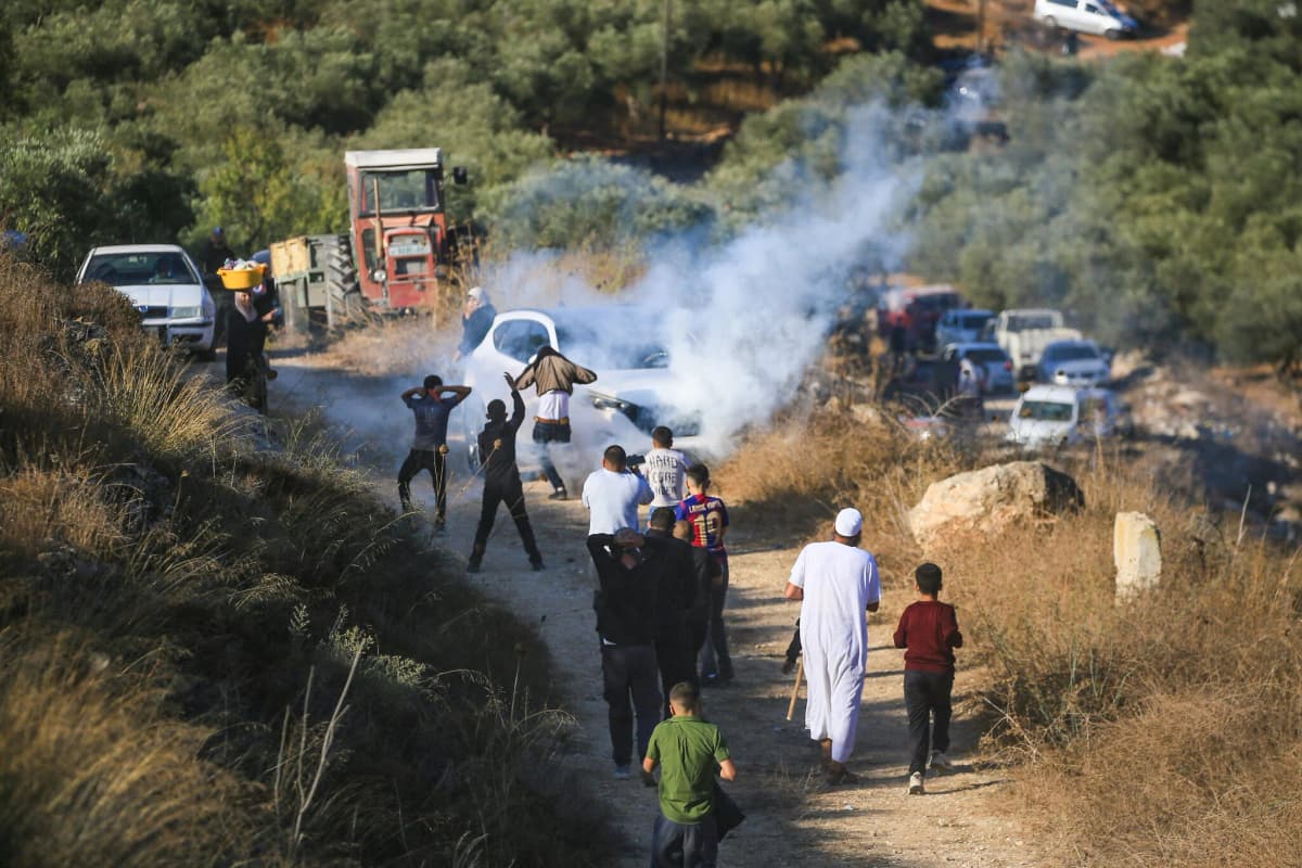 European diplomats attacked amid settler raids on West Bank olive harvest