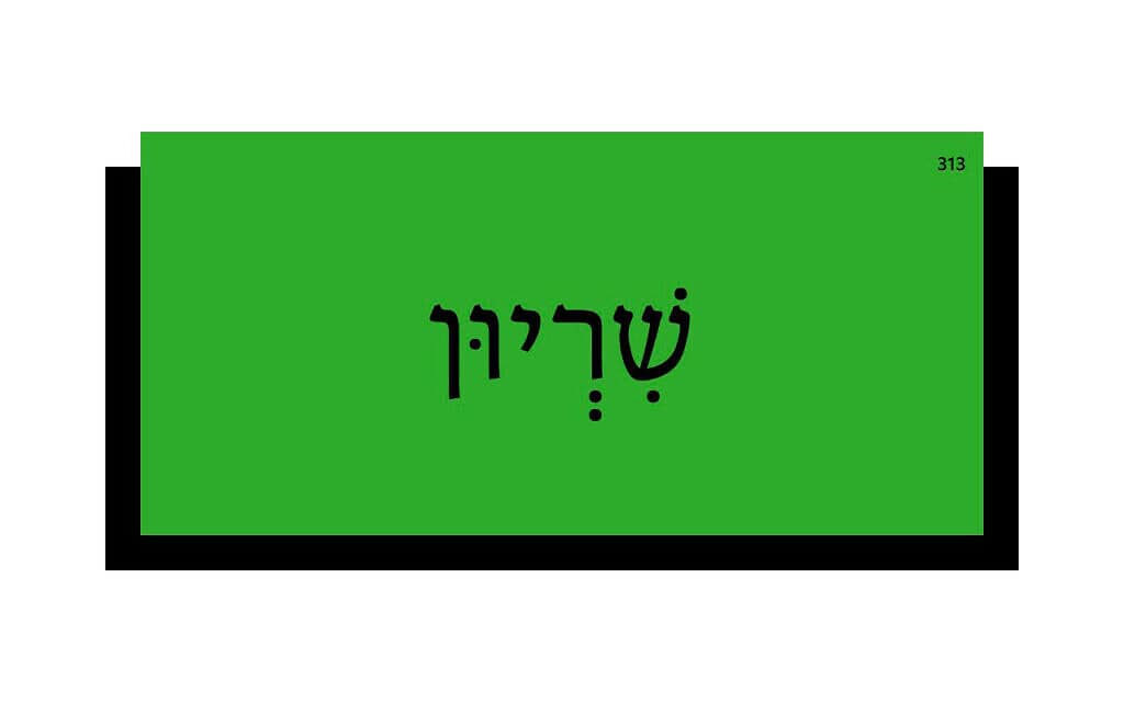 אוצר המילים של השבוע: שִׁרְיוּן