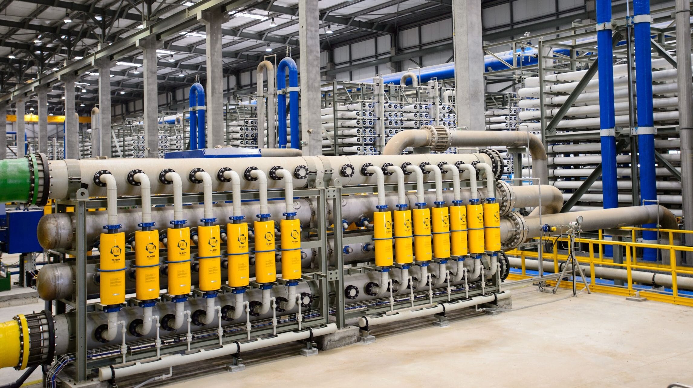 Nile Delta Algae Bloom Shuts Down Israel’s Desalination Plants