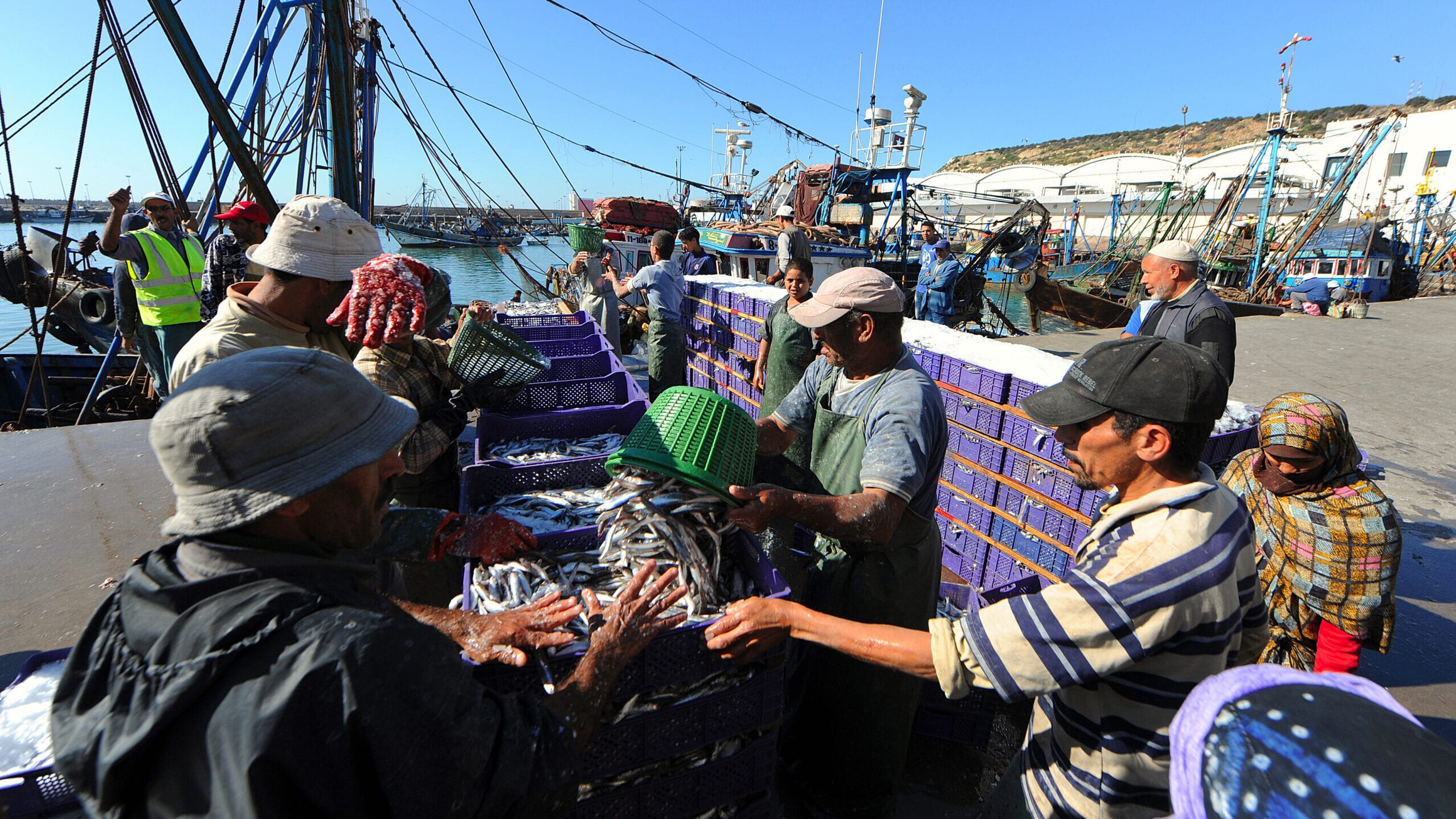 Beyond Oil: The Resources Reshaping the Middle East and Africa