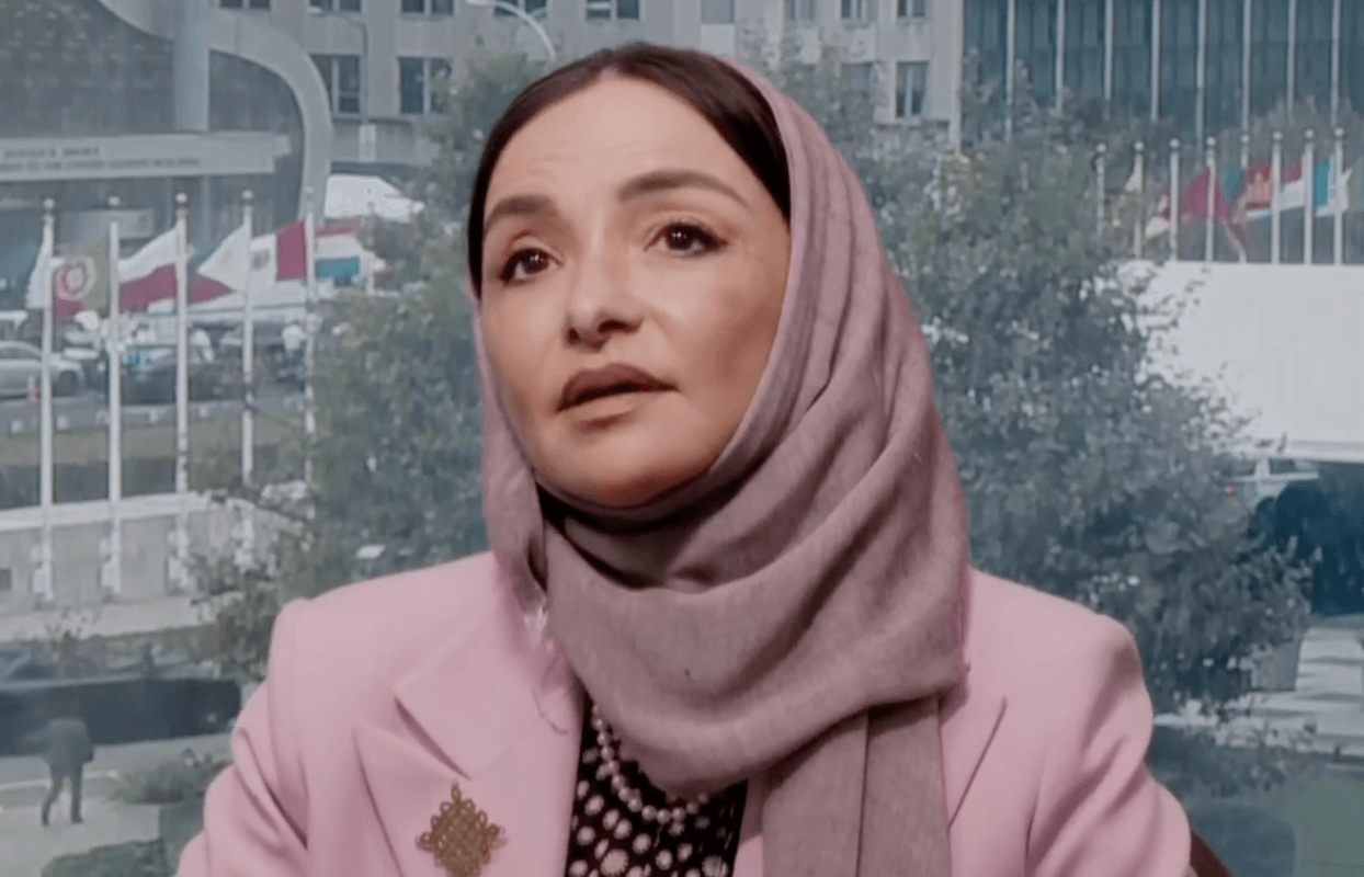 Saudi Arabia Names Woman Diplomat Manal Radwan Special Envoy for Peace Efforts