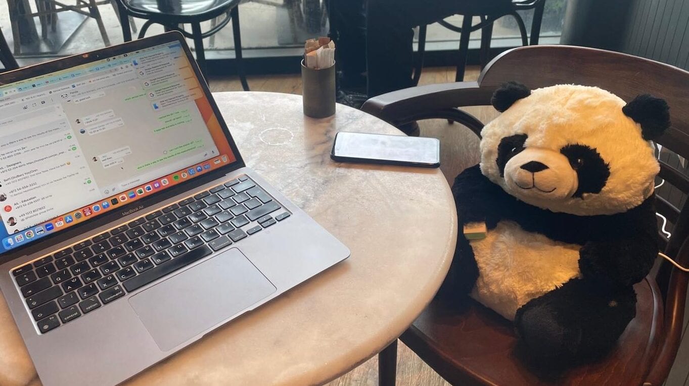 How a Talking Panda Robot Could Help Combat Loneliness Among Older Adults