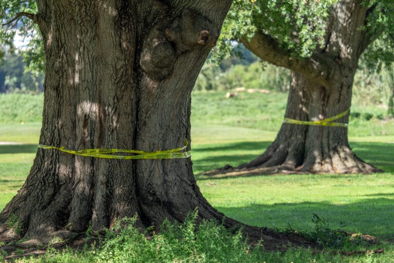 Federal Judge Orders Trump Administration To Halt Work On Historic DC Golf Course Until Oct. 26