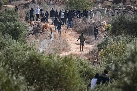 Rubio, Huckabee Condemns Settler Attack On US Journalist