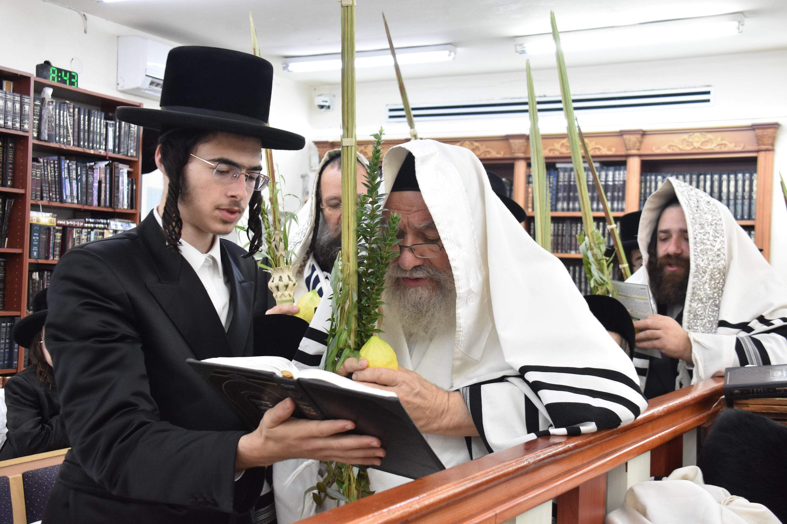 סוכות באשלג: הטישים ולימוד הזוהר אל תוך הלילה