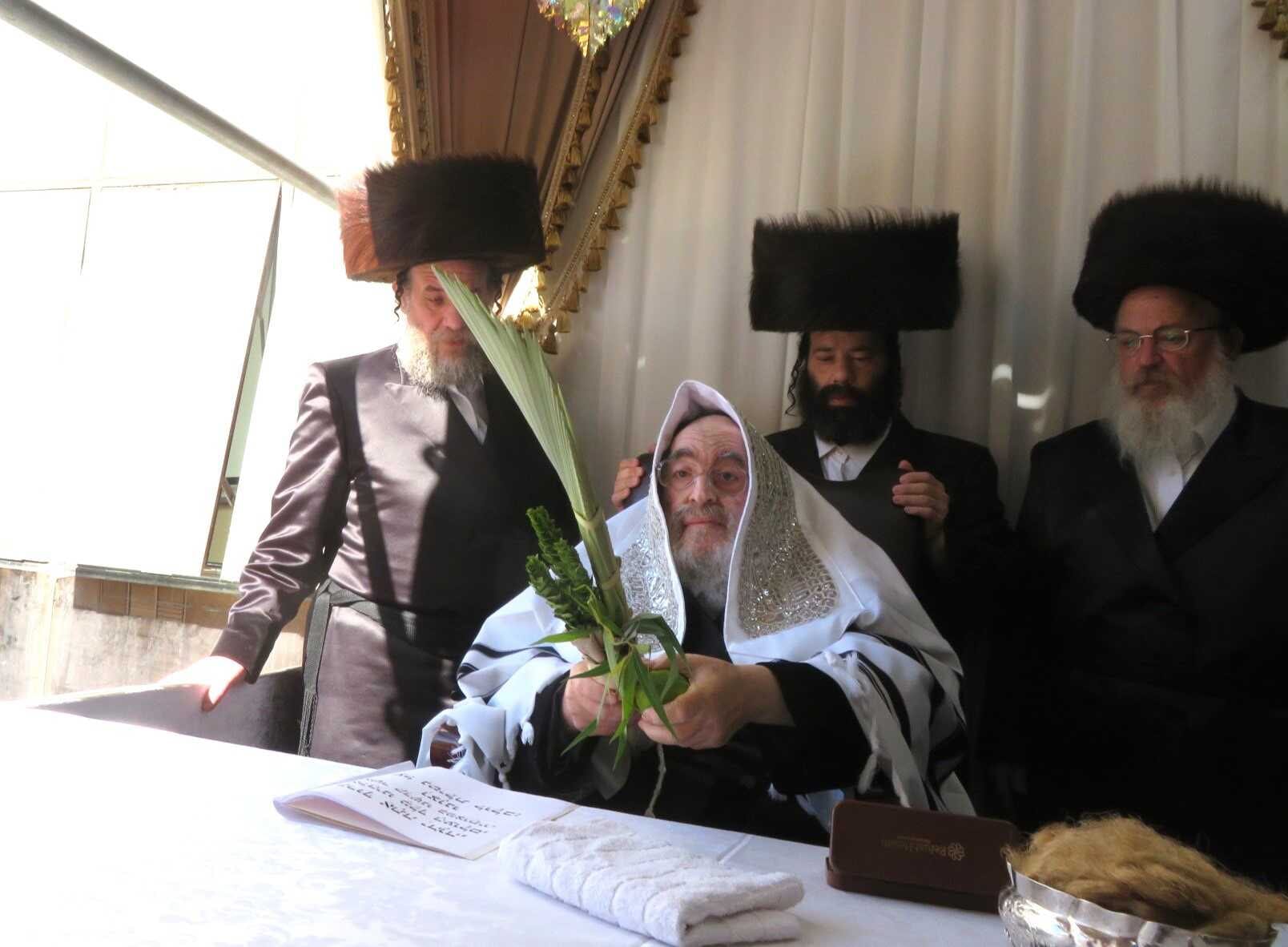 גלרית סיכום: חג הסוכות בצלו של הרבי מויז'ניץ