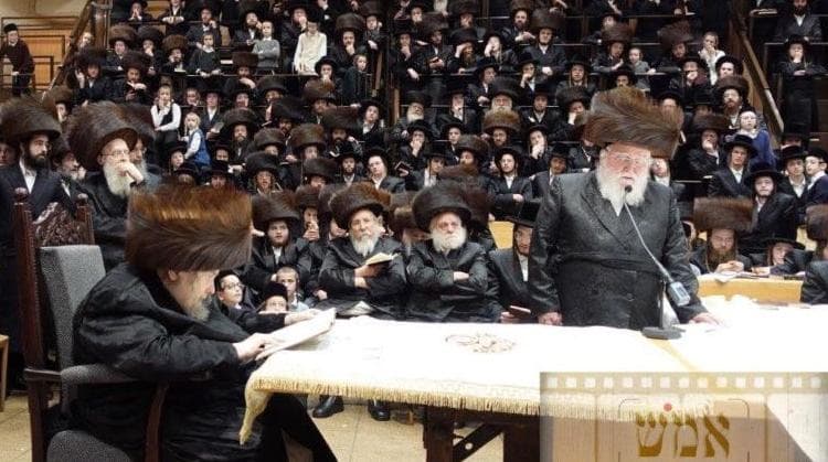 בבעלזא הכריזו: להתגייס ולגייס להצלחת יהדות התורה