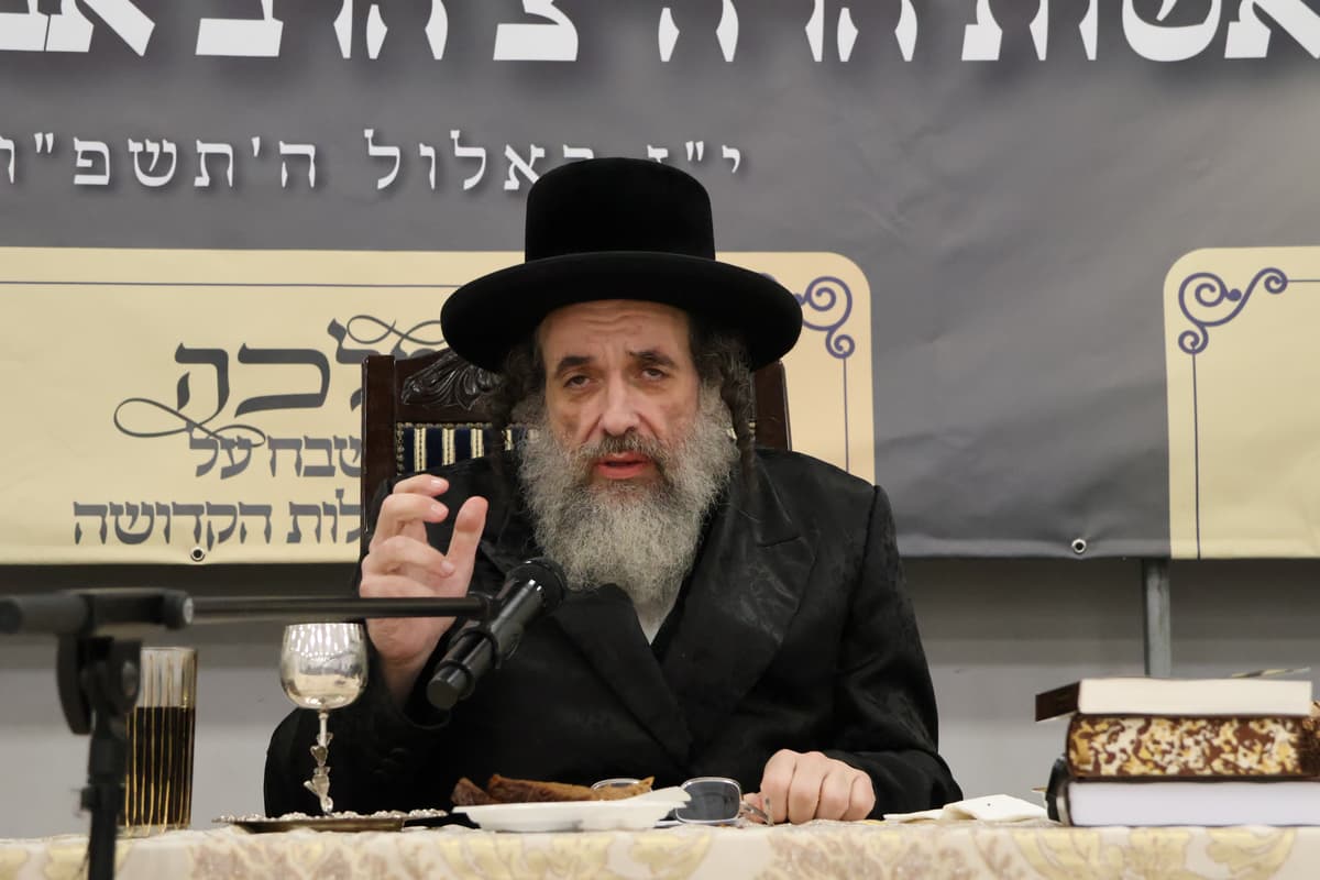 מנדטים ותפקידים? המסר החד של בן האדמו"ר מויז'ניץ