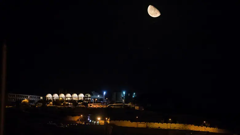קרן אביה תקיים שבת של אחדות בהר הזיתים