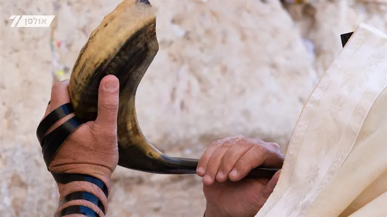 מבצע השופר שריגש את רמת השרון