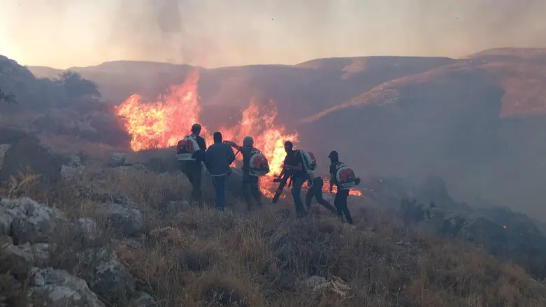 האש התפשטה בחסות הרוחות: קו הבתים בגבעות פונה, השריפה נבלמה
