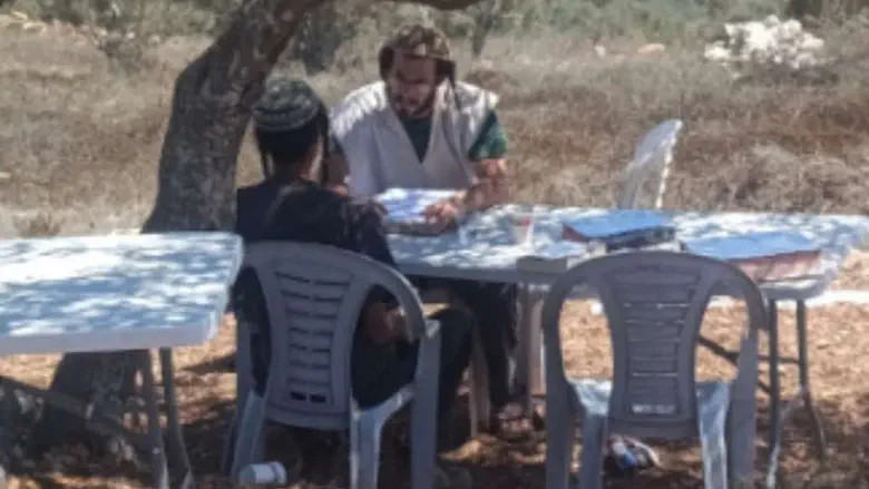 פונו מחומש - והמשיכו ללמוד בין העצים