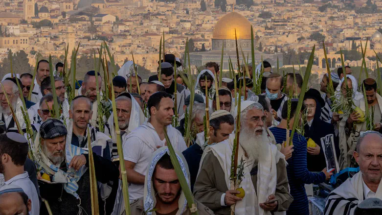 התמונה המצמררת: דוד מאיר התפלל בהר הזיתים - ולמחרת נפל בקרב