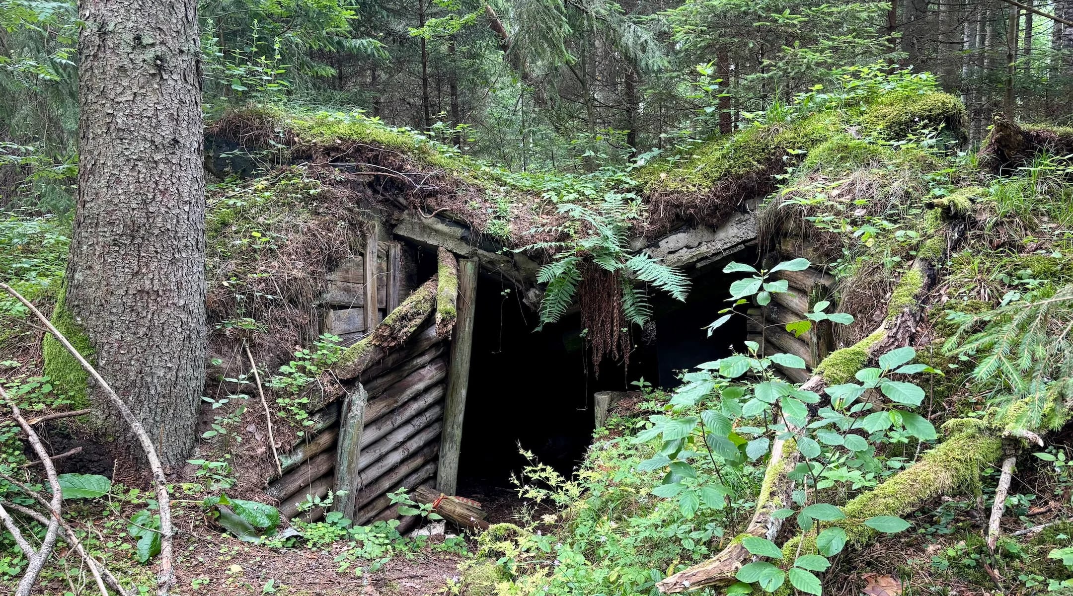 In a forest where Jews fought the Nazis, a German military base and Lithuanian politics encroach on memory