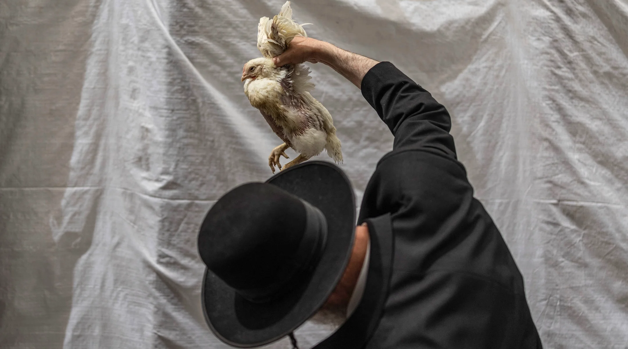 Dead chickens found in trucks likely tied to Orthodox ritual
