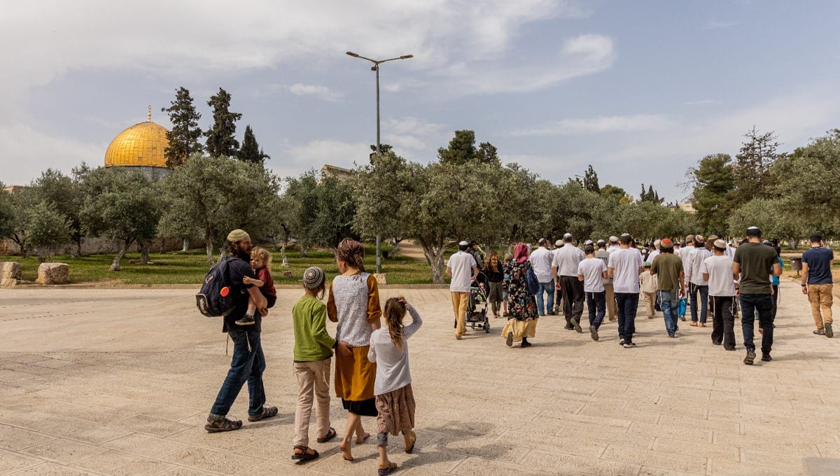 המשטרה הרחיבה את שעות הפתיחה - ושיא חדש נשבר בהר הבית