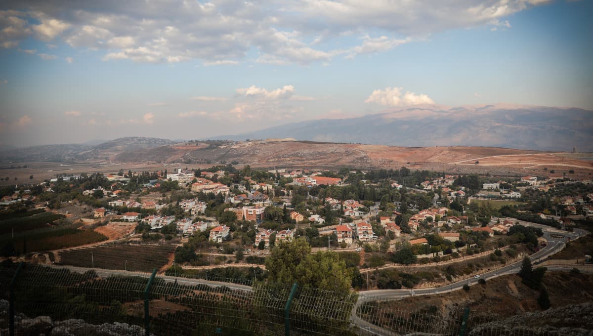 משרד הבריאות מזהיר מפני כלבה נגועה בכלבת באזור מודיעין