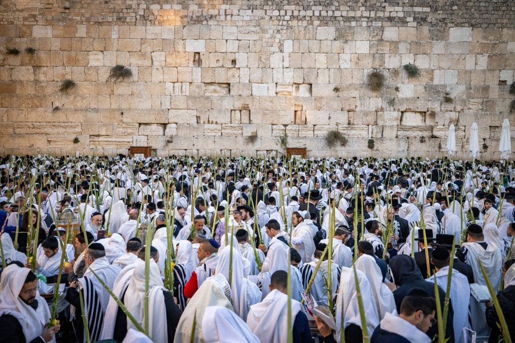 איפה יש לימוד ליל הושענא רבה? כל האירועים ברחבי הארץ תשפ"ז 2026