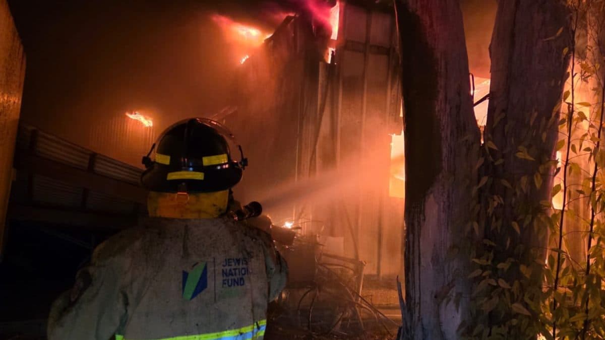 עצוב: שלוש שנים אחרי הטבח בבארי - מפעל חייה של הנרצחת עלה באש