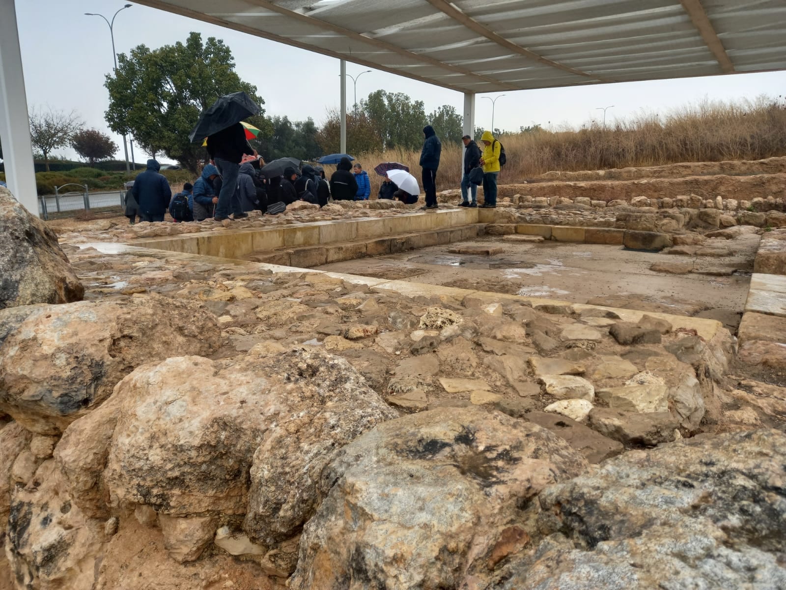 ממערות מסתור ועד פארק ענבה: סיורי המורשת חוזרים למודיעין – החל מ – 40 שקל לתושב