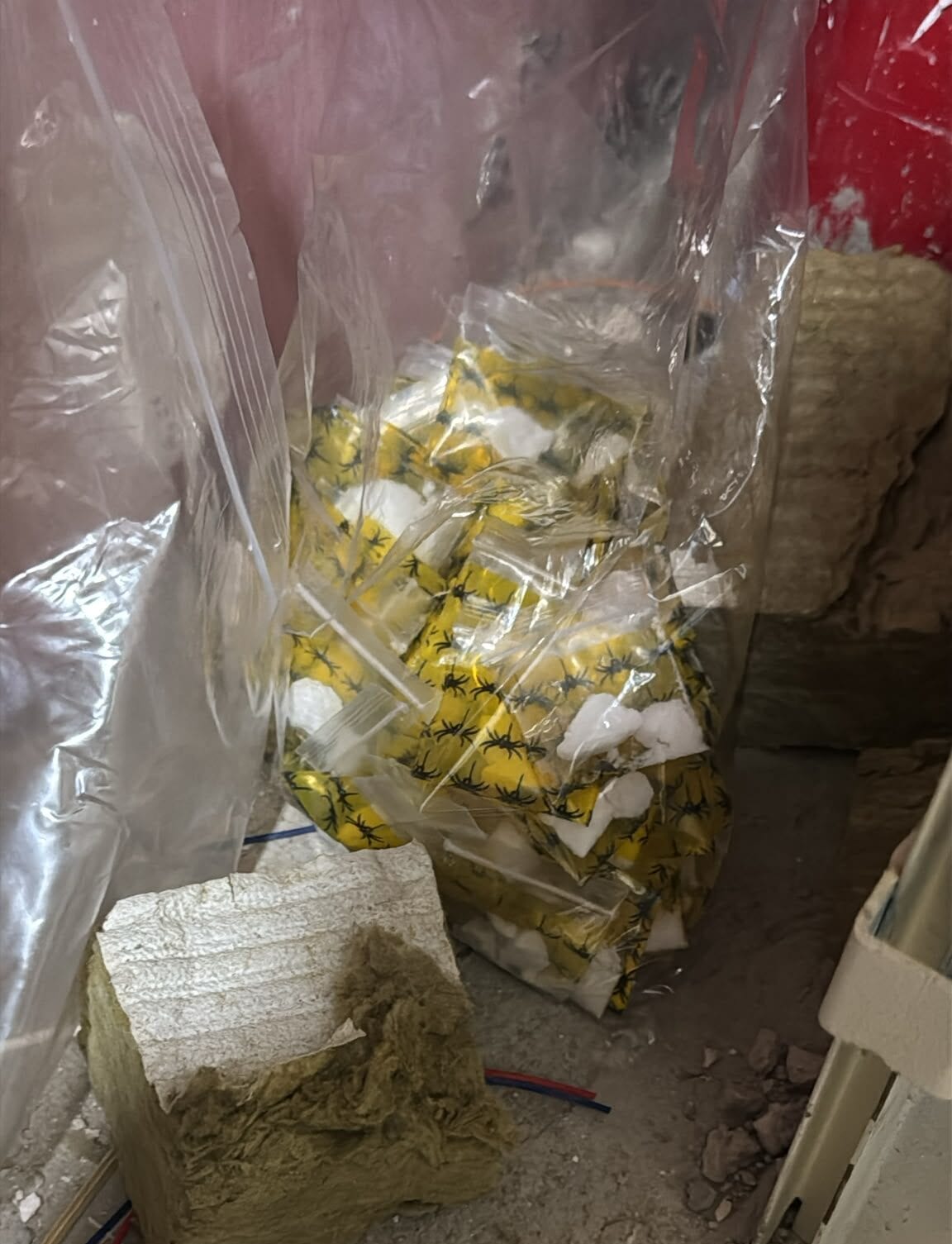 המשטרה סיכלה חשד לפגיעה בין כנופיות באשדוד: תשעה נעצרו