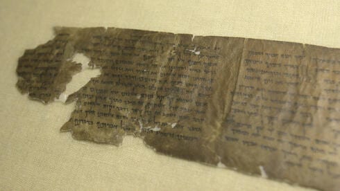 החוקרת מסבירה: כך התגלו שתי מסורות לוח שנה בקומראן