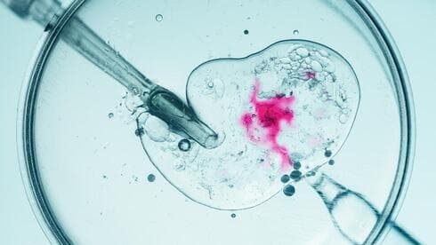 Another IVF scandal in Israel: Father says son was conceived using another man's sperm
