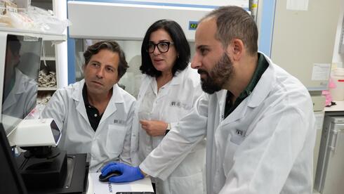 המעי זוכר: חוקרים מישראל חשפו מנגנון שעלול להוביל לקרוהן ולקוליטיס