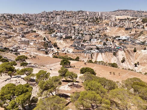 גם תנובה ובורגראנץ': החברות הישראליות החדשות ב"רשימה השחורה" של האו"ם
