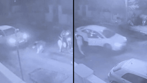קפץ מהרכב בזמן נסיעה - וניצל מחיסול: "קיבל חיים חדשים, נורו 12 קליעים" | תיעוד