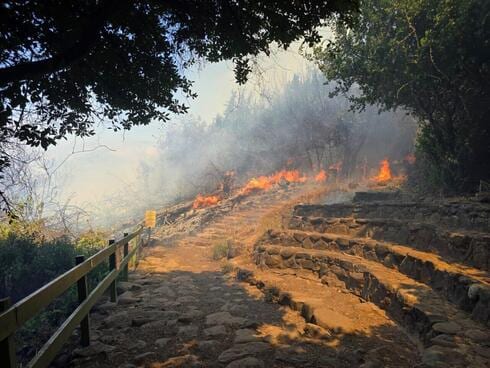 ביום האחרון של החג: שריפה פרצה בשמורה באצבע הגליל, המטיילים פונו | תיעוד