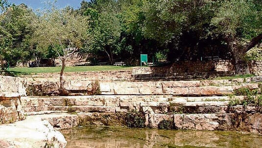 פלגי מים, עגלות קפה ומרחבים פתוחים: חמישה מסלולי טיול לסוכות