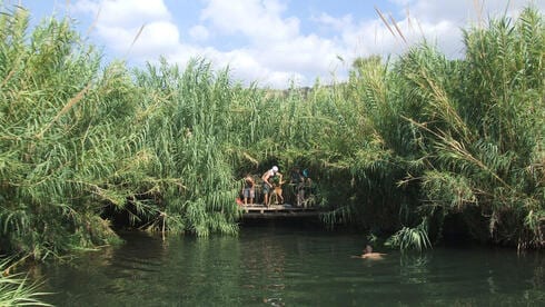 בריכות נסתרות ומפלים מפתיעים: טיולי מים לסוכות