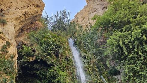 אחרי יותר משנה: המסלול למפל האהוב ייפתח מחדש במלואו