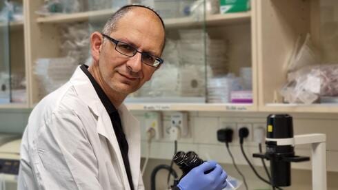 Israeli scientists redesign T cells, shrinking tumors in promising cancer study