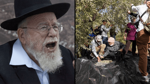 הרב המזוהה עם עוצמה יהודית: מותר למסוק זיתים של פלסטינים, זה לא גזל אלא מעלה יתרה